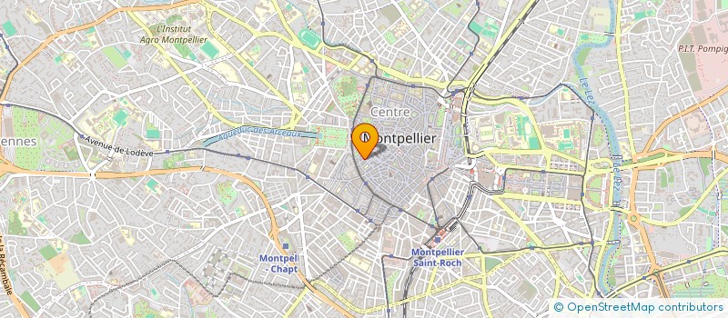 localisation de l'entreprise HALLUCINANTE ORG UNIS BEDEPHILES & AUTEU à MONTPELLIER
