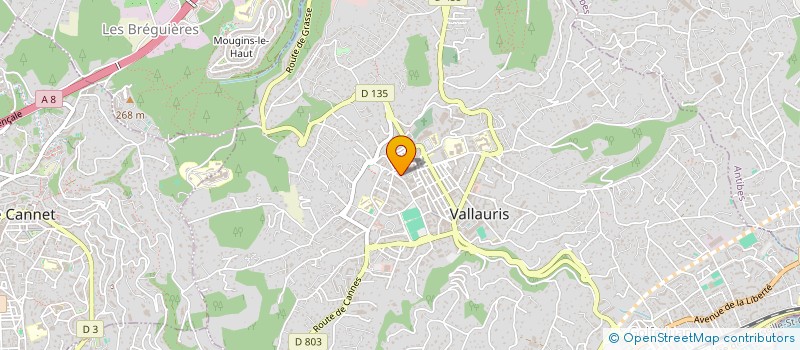 localisation de l'entreprise HALONG VILLA à VALLAURIS