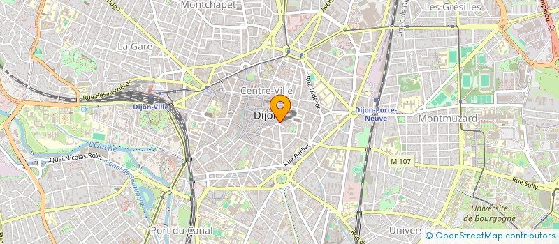 localisation de l'entreprise HAMANN-BLACHE  DIJON