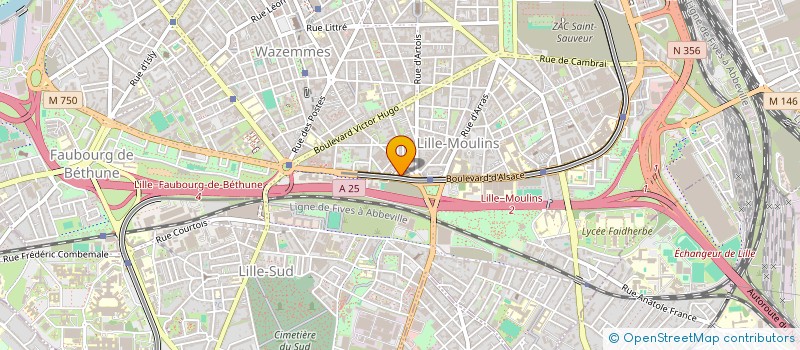localisation de l'entreprise HANOUT BLEU 2 à LILLE