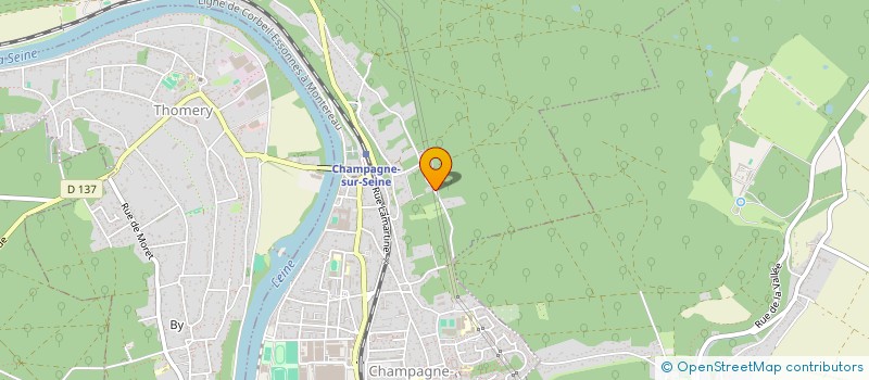 localisation de l'entreprise HAPPY FRIENDS AND CO  CHAMPAGNE-SUR-SEINE