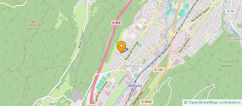 localisation de l'entreprise HAPY PAYSAGE à BELLIGNAT