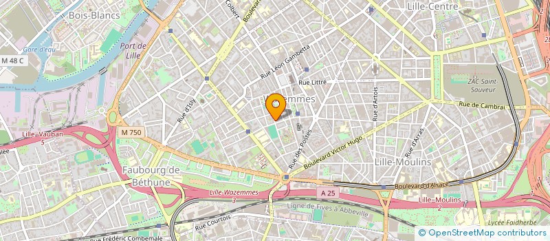 localisation de l'entreprise HAYAT à LILLE