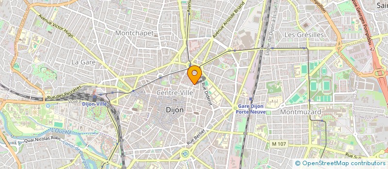 localisation de l'entreprise HAYK TATTOO  DIJON