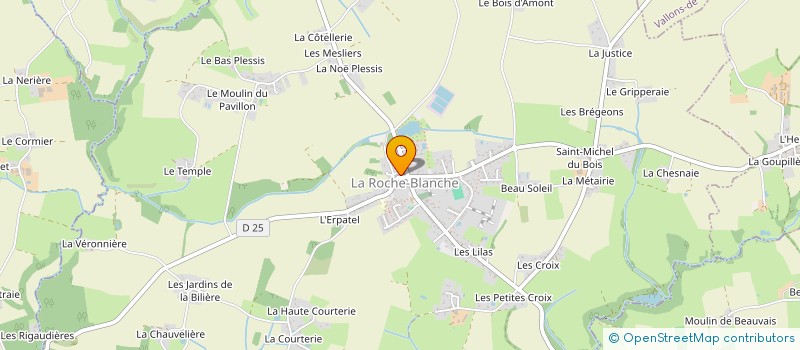 localisation de l'entreprise HAZUMI CONSULTING  LA ROCHE-BLANCHE