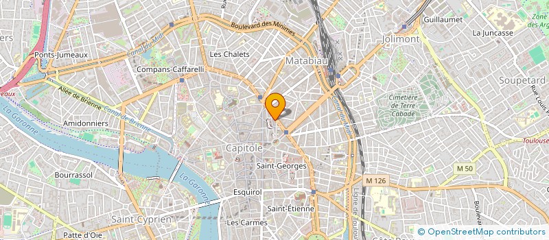 localisation de l'entreprise HECTOR  TOULOUSE
