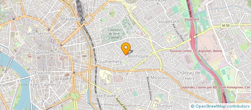 localisation de l'entreprise HECTOR LE COLLECTOR à TOULOUSE