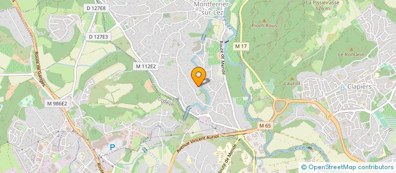 localisation de l'entreprise HEDESY  MONTFERRIER-SUR-LEZ