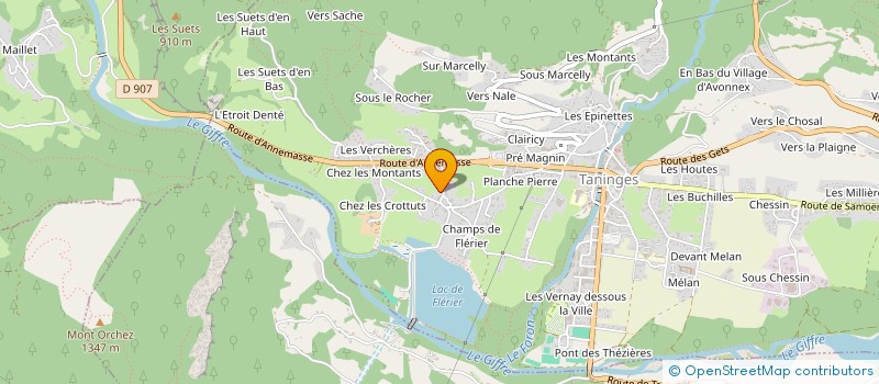 localisation de l'entreprise HENRIOUD FRERES  TANINGES