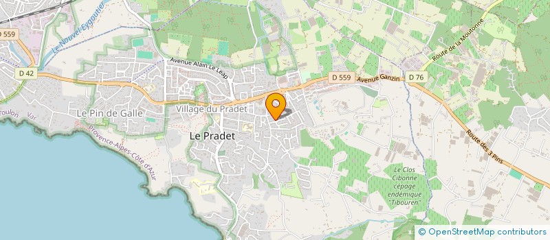 localisation de l'entreprise HENRYKA  LE PRADET