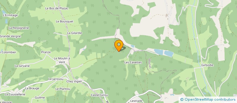 localisation de l'entreprise HESELTINE ELISABETH  SAINT-LEON-SUR-VEZERE