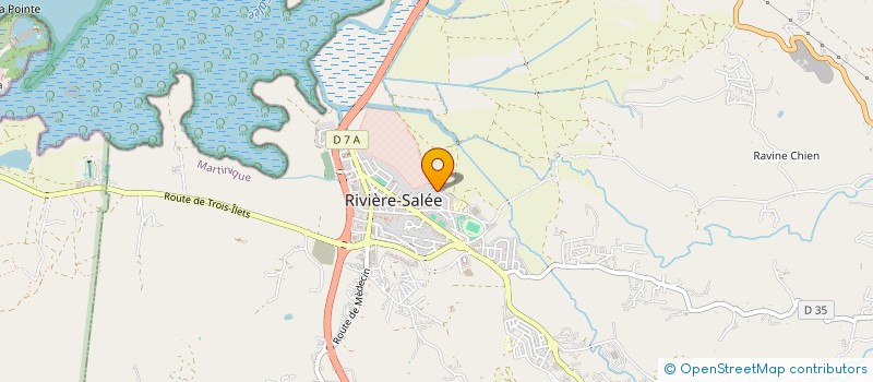 localisation de l'entreprise HG ENVIRONNEMENT à RIVIERE-SALEE
