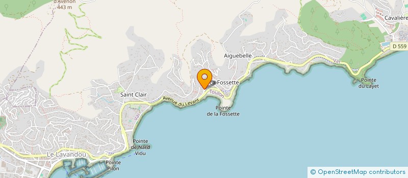 localisation de l'entreprise HIBISCUS à LE LAVANDOU