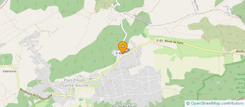 localisation de l'entreprise HIDALGO à PLAN-D'AUPS-SAINTE-BAUME