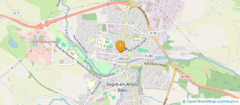 localisation de l'entreprise HIGGS  SEGRE-EN-ANJOU BLEU