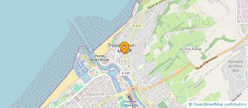 localisation de l'entreprise HIPPOCRENE à TROUVILLE-SUR-MER