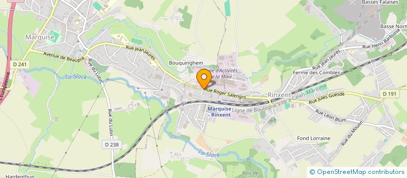 localisation de l'entreprise HISTOPALE  RINXENT