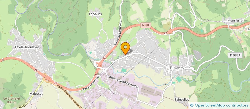 localisation de l'entreprise HIZOLLYS  LE PUY-EN-VELAY