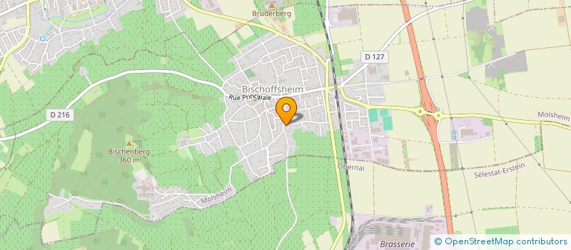 localisation de l'entreprise HKG  BISCHOFFSHEIM