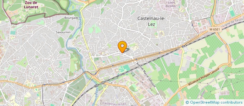 localisation de l'entreprise HM GROUP  CASTELNAU-LE-LEZ