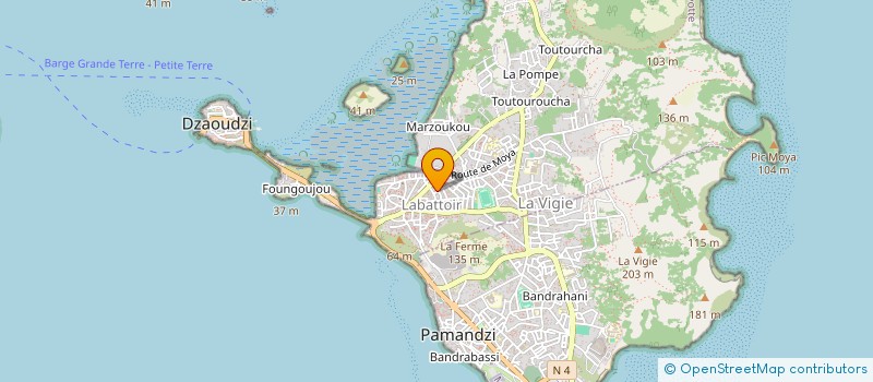 localisation de l'entreprise HODIDAGONI à DZAOUDZI
