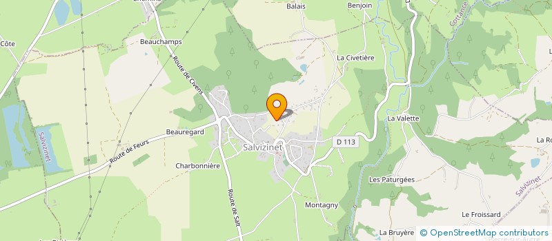 localisation de l'entreprise HOLDING 3D  SALVIZINET