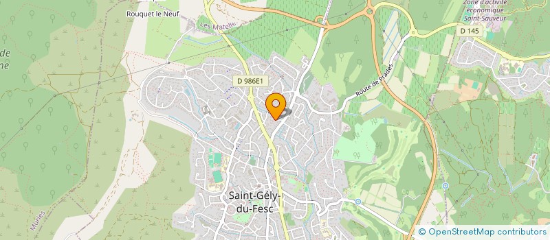 localisation de l'entreprise HOLDING BM à SAINT-GELY-DU-FESC