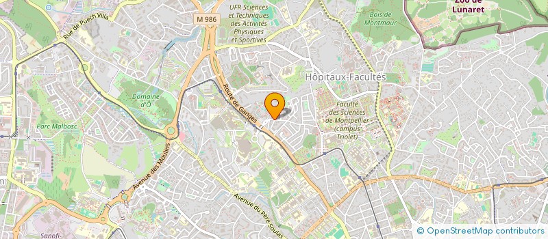 localisation de l'entreprise HOLDING BORDJI à MONTPELLIER
