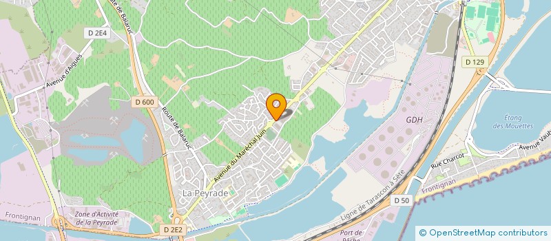 localisation de l'entreprise HOLDING BV à FRONTIGNAN