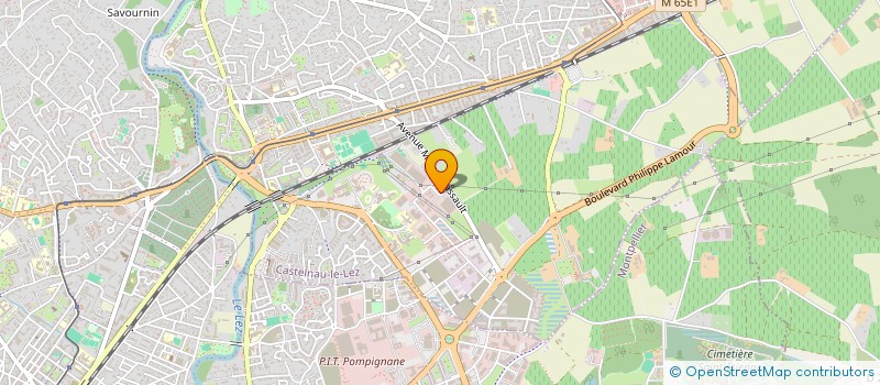 localisation de l'entreprise HOLDING COHORTIS  GALLARGUES-LE-MONTUEUX