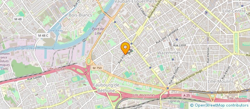 localisation de l'entreprise HOLDING D.M à LILLE