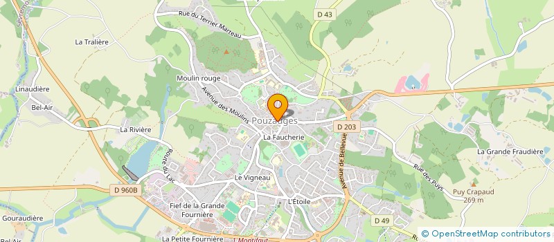 localisation de l'entreprise HOLDING DAVID THIBAUD  POUZAUGES