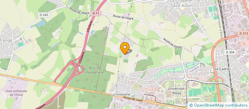 localisation de l'entreprise HOLDING DE CHAMP FLEURY à LE MANS