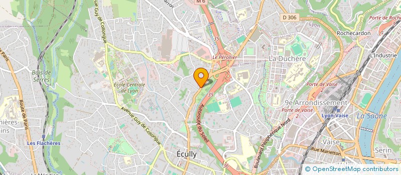 localisation de l'entreprise HOLDING DES ASSOCIES H3A  ECULLY