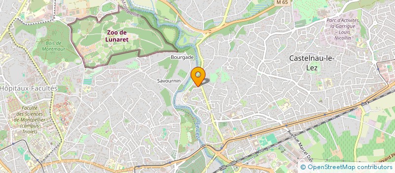 localisation de l'entreprise HOLDING DES GUILHEMS à CASTELNAU LE LEZ