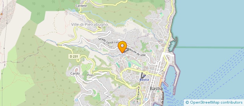 localisation de l'entreprise HOLDING DU DOCTEUR ERIC SALSOU à VILLE-DI-PIETRABUGNO