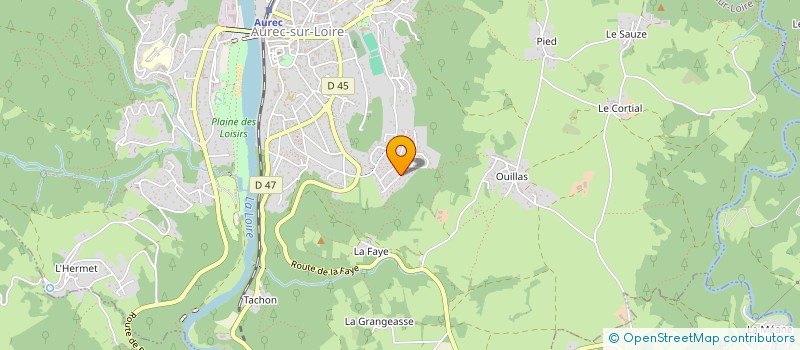 localisation de l'entreprise HOLDING FOUILLOUX INVEST  AUREC-SUR-LOIRE