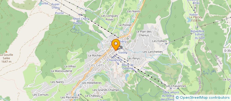 localisation de l'entreprise HOLDING LAURA BERTHET  LES GETS