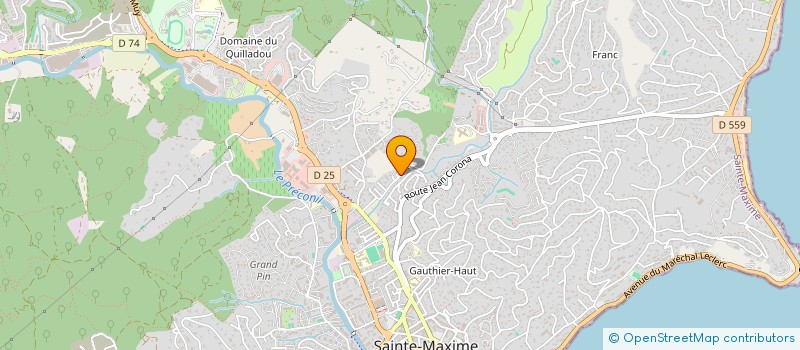 localisation de l'entreprise HOLDING LESUR à SAINTE-MAXIME