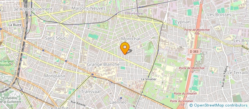 localisation de l'entreprise HOLDING LOPES  LYON