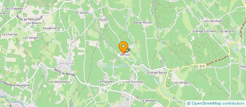 localisation de l'entreprise HOLDING M.D'ANNOUX  SAINT-DIDIER-SUR-CHALARONNE