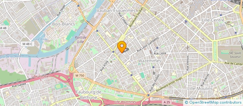 localisation de l'entreprise HOLDING MATUSZAK à LILLE