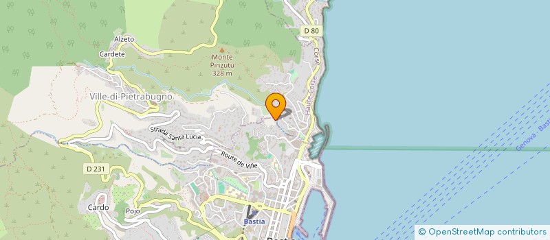 localisation de l'entreprise HOLDING ORSU FINANCES  BASTIA