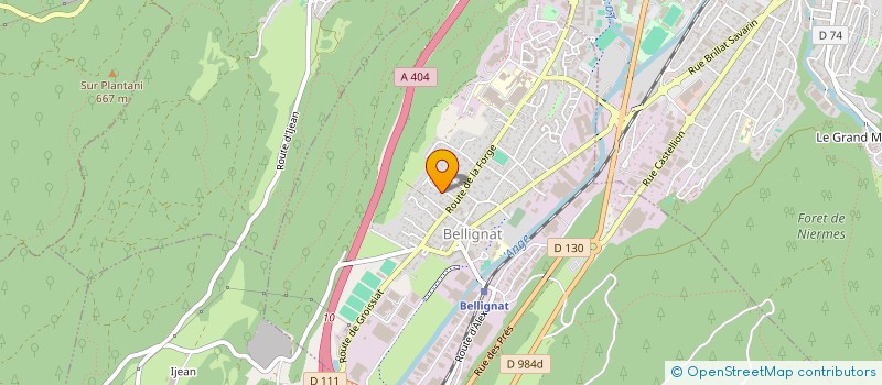 localisation de l'entreprise HOLDING PEISSON à BELLIGNAT
