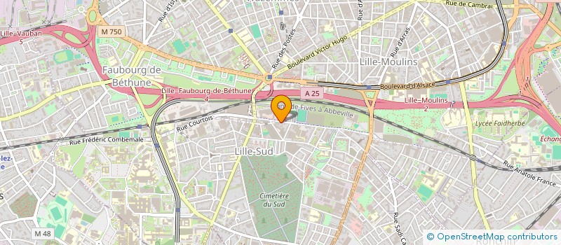 localisation de l'entreprise HOLDING RICHART FRERES à LILLE