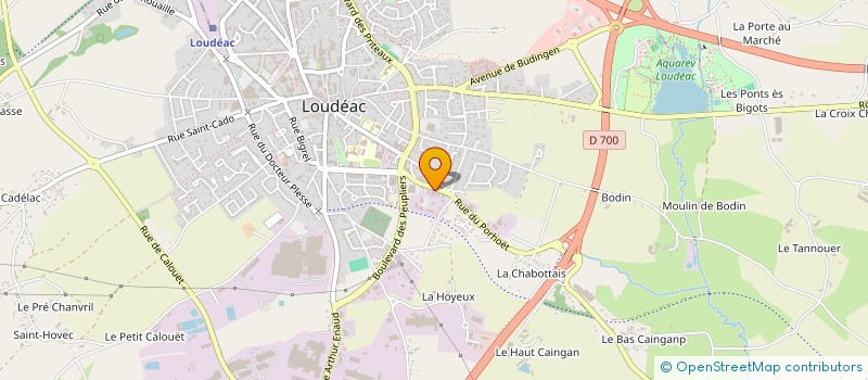 localisation de l'entreprise HOLDING RRTLG à LOUDEAC