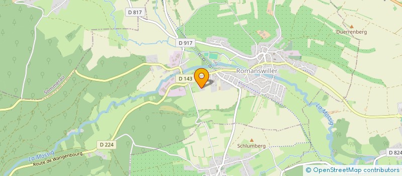 localisation de l'entreprise HOLDING WDS  ROMANSWILLER