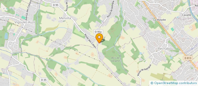 localisation de l'entreprise HOLDINO à CASTANET-TOLOSAN