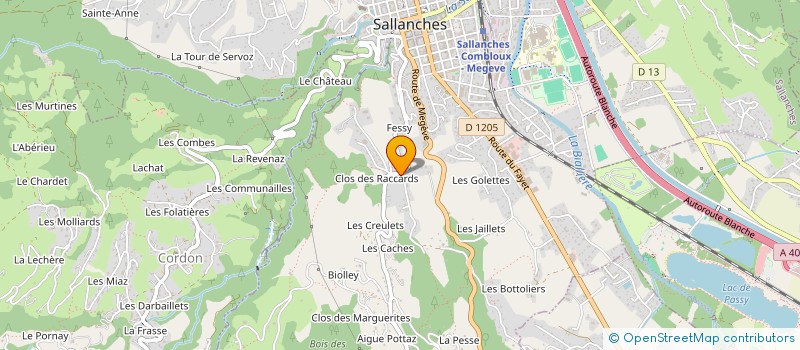 localisation de l'entreprise HOME INVEST à SALLANCHES