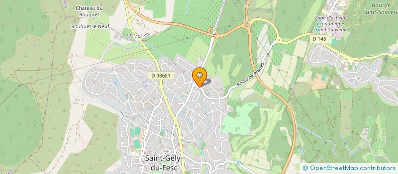 localisation de l'entreprise HOMELYSS  SAINT-GELY-DU-FESC